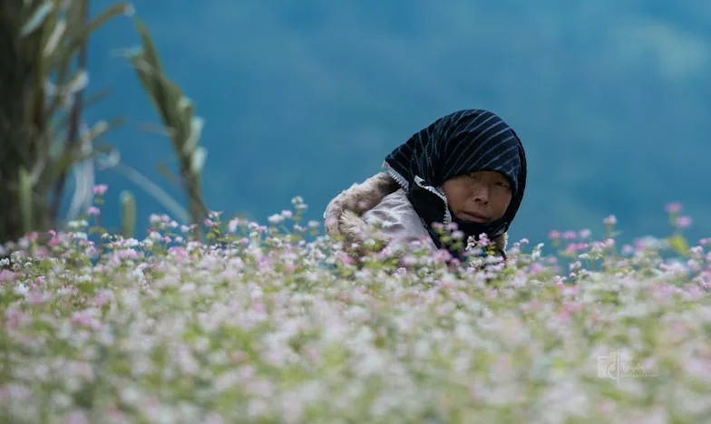 L'invitation qui a brisé mon monde : Trahison, douleur et renaissance