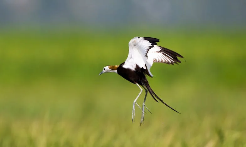 L’ombre de la culpabilité : Histoire de Christophe et Marc dans un village du Limousin
