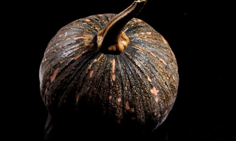 L’ombre de l’ex : Comment j’ai survécu à la tempête et retrouvé l’amour avec Antoine