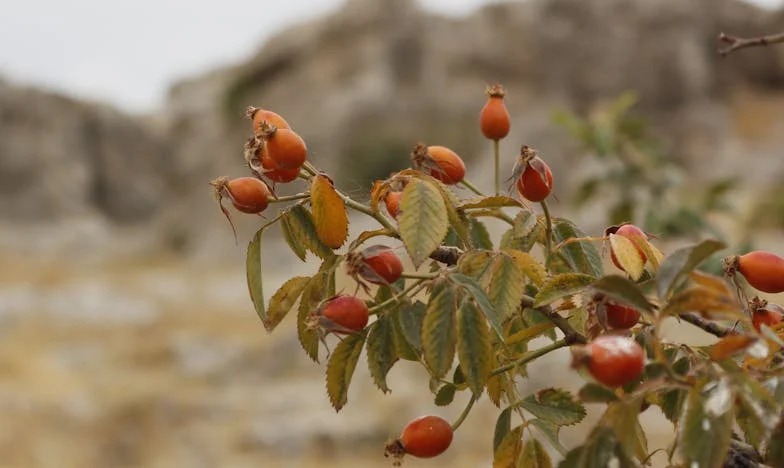 L’ombre de mon père : Le choix qui a tout bouleversé