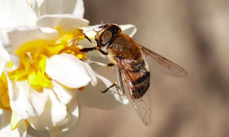 Naissance sous tension : Entre ma mère, ma belle-mère et moi