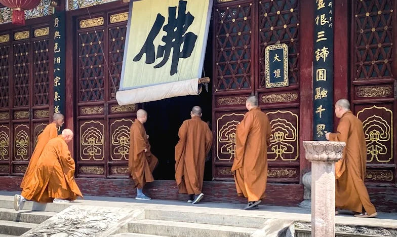 N'oublie pas ton portefeuille : Chronique d'une grand-mère française entre amour, argent et solitude
