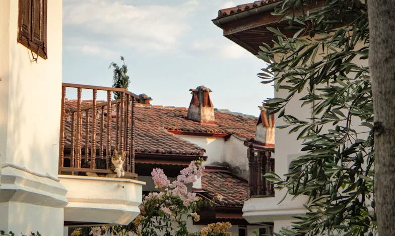 Pourquoi j'ai coupé les ponts avec la famille de mon mari : chronique d'une renaissance douloureuse