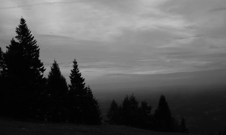 Quand la bonté rencontre le passé : le secret de ma mère
