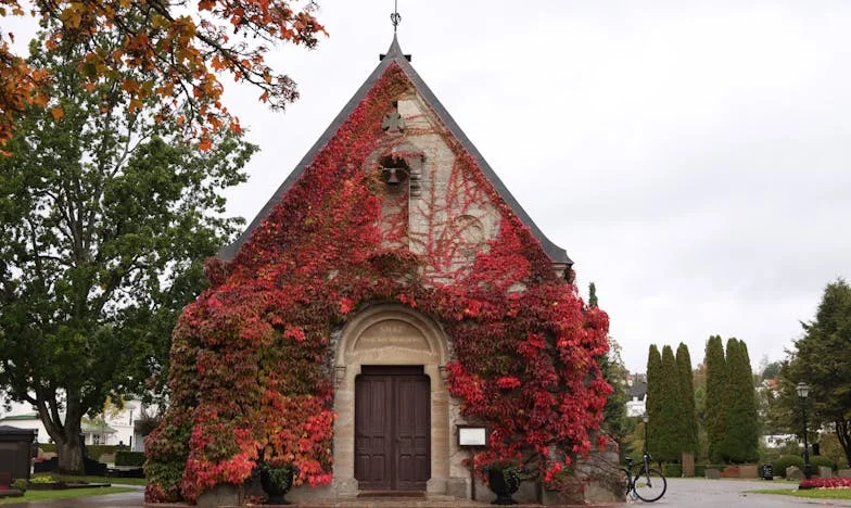 Quand tout a basculé : Les combats invisibles de Nicolas