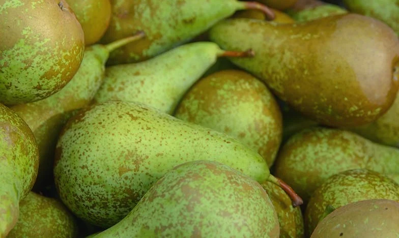 Sans-abri à Lyon : Comment les échecs ont bouleversé ma vie et celle de ma famille