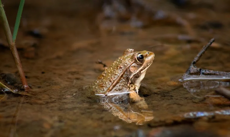 « Ton mari, ma chère, fait entrer une autre quand tu n’es pas là » – L’histoire d’une trahison qui a déchiré ma famille
