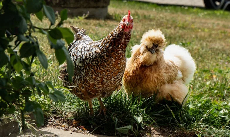 Trouver la force dans l’épreuve : Comment ma famille a surmonté le doute et le mépris