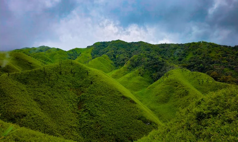 Une nuit au commissariat : Quand l'amour maternel bouleverse une vie