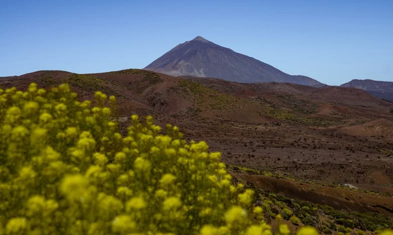 Une nuit de novembre : Comment un policier a bouleversé notre destin