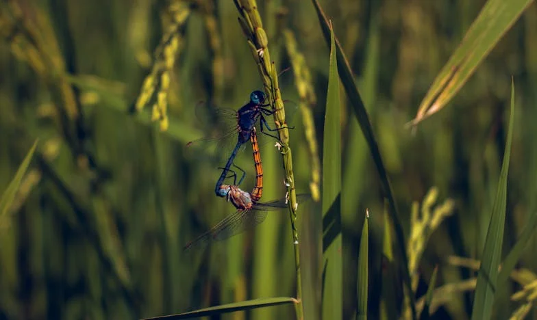 Une visite qui a tout bouleversé : Comment une fille peut-elle abandonner sa propre mère ?