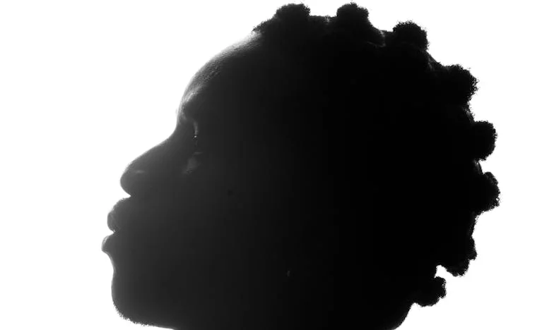 Vingt Ans de Silence : L'Offre Qui Bouscule Tout