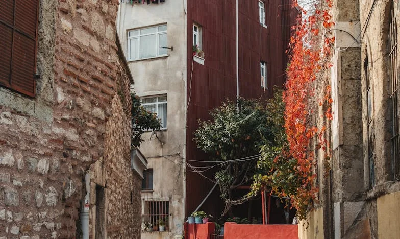 Après vingt ans de silence : La vérité qui a brisé mon cœur