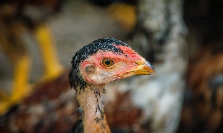 Au Bord du Gouffre : Comment la Foi a Sauvé Mon Mariage