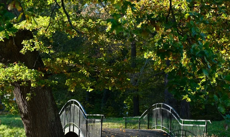 Aujourd'hui, j'ai fermé la porte à mon fils et à ma belle-fille : le jour où j'ai repris ma vie en main