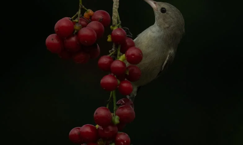 Dans la cour de la honte : Le combat pour la dignité de mon fils