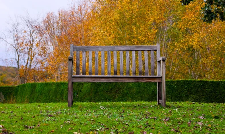 Entre Ma Mère et Ma Femme : Le Prix du Silence