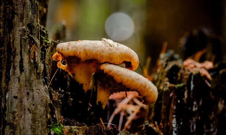 Il m’a quittée pour une autre… et il a osé revenir