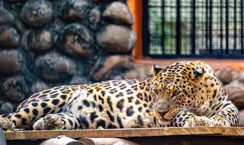 « Il ne veut pas se sentir comme un clochard » : Quand notre fille nous a confrontés sur le droit au logement de son petit ami