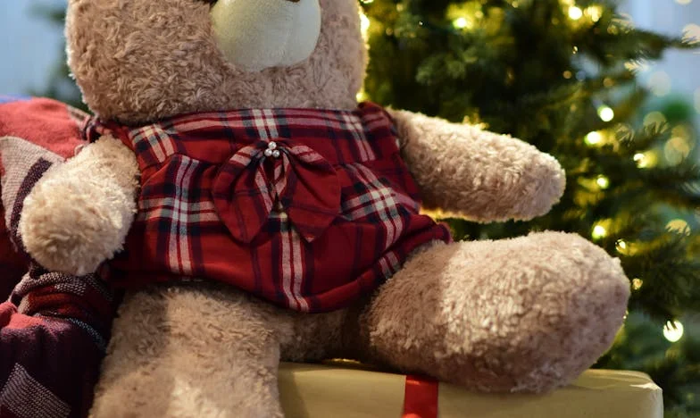 Invisible parmi les miens : Chronique d'une belle-fille française