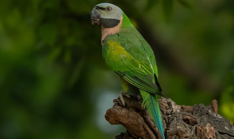 « J’ai toujours cru que j’échouais comme mère » : Comment ma fille adulte a bouleversé ma vie