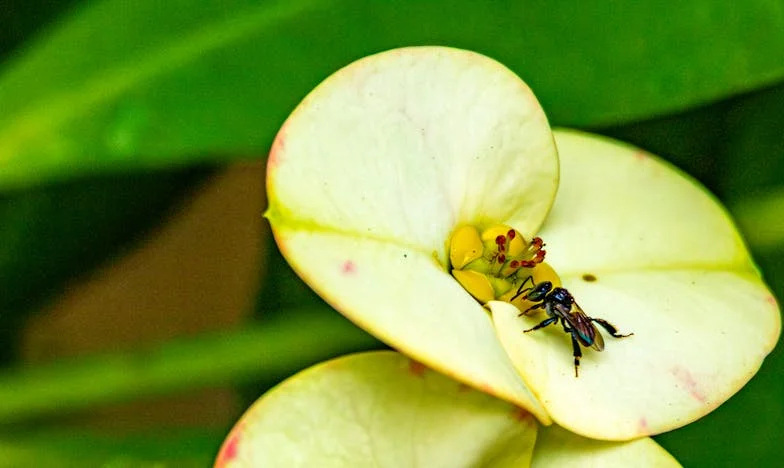 Je n'ai jamais voulu être belle-mère : Histoire d'amour, de limites et de douleur