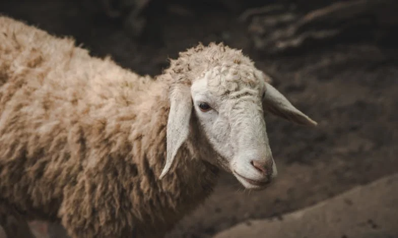« Je veux divorcer. » – Une phrase qui a brisé seize ans de ma vie