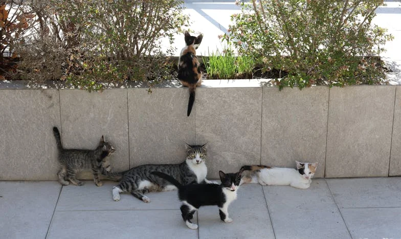 La Visite Inattendue : Une Soirée Qui a Tout Changé