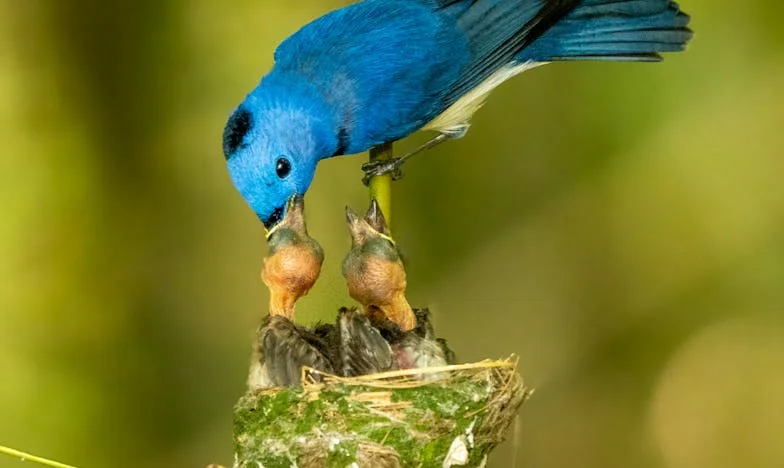 « Laisse ton ex s’occuper de tes enfants » : Comment j’ai reconstruit ma famille recomposée en France
