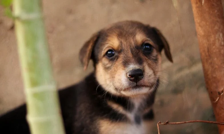 L’amour de ma fille survivra-t-il aux tempêtes familiales ? Mon combat pour son bonheur face à des beaux-parents toxiques