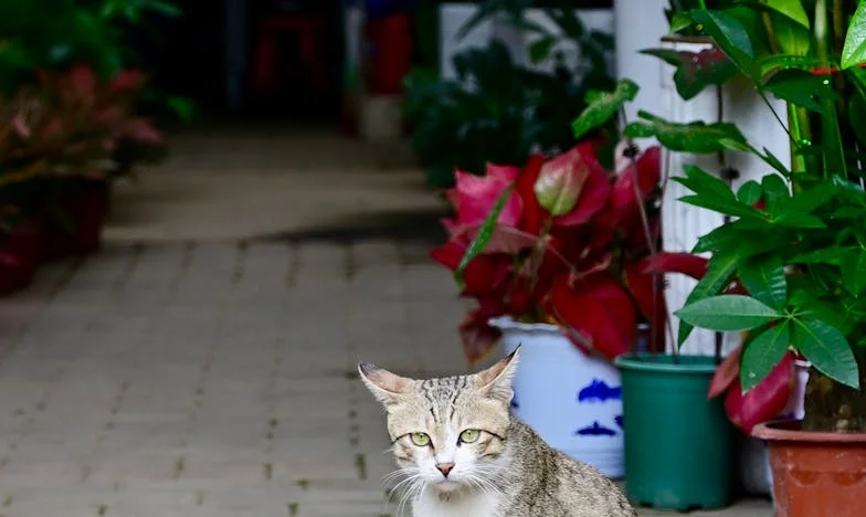 L'amour sous condition : Quand la famille ne voit que l'argent