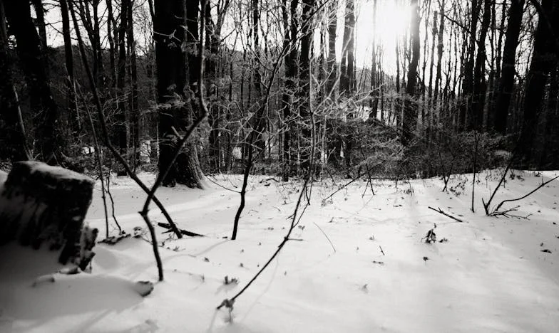 Le choix impossible : entre les mains de ma belle-mère
