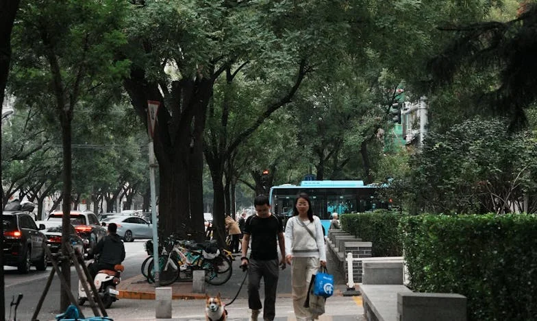 Le mariage de ma sœur a brisé notre famille : le déménagement de Mamie a tout bouleversé