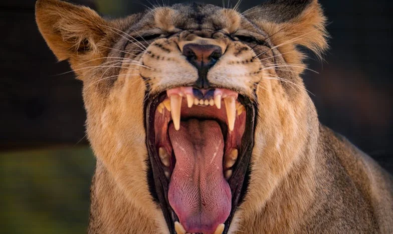 Le silence de mon fils : une mère face à la distance