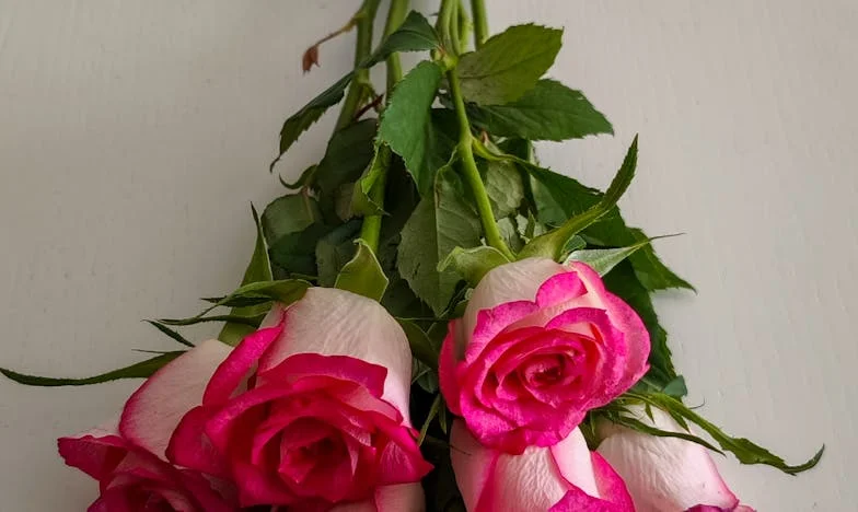 L’invité inattendu : Quand mon beau-père a bouleversé ma vie à Lyon