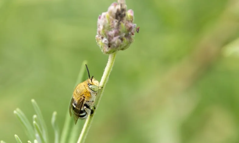 Ma mère a volé ma santé pour un été au bord du lac d’Annecy