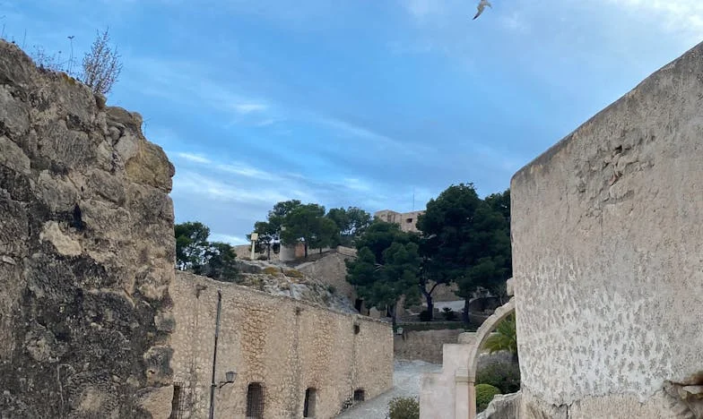 Mamie, celle qui dérange – Histoire d’une grand-mère blessée