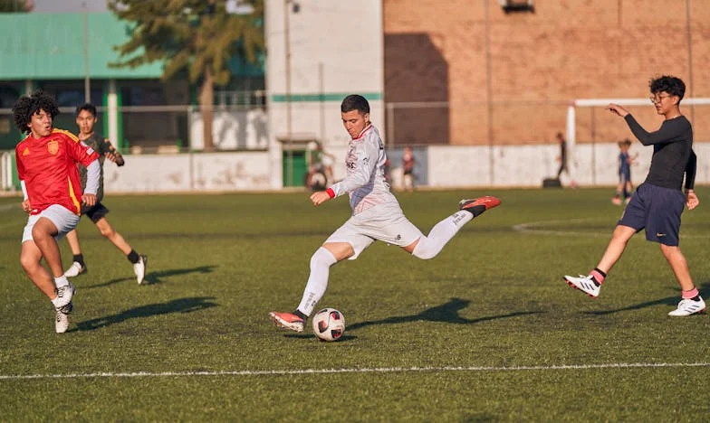 Mon fils, cet étranger : Ma lutte pour une famille que je n'ai pas choisie