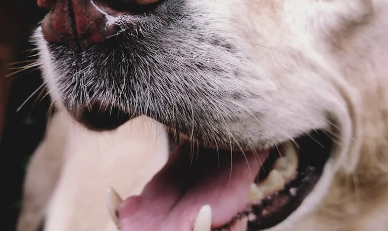 Prière au cœur de la tempête : Le dimanche qui a bouleversé ma vie