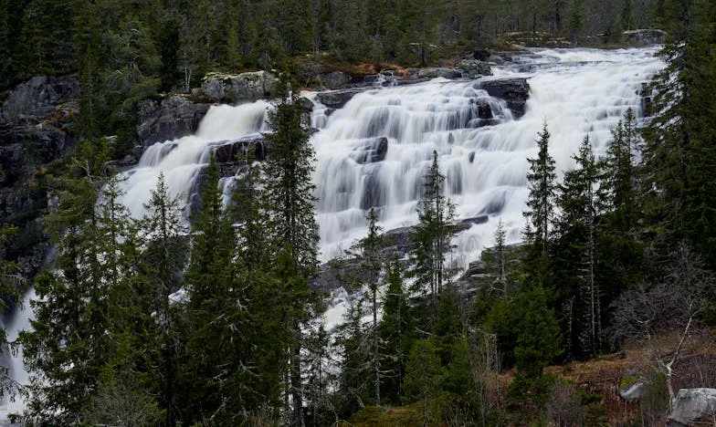 Quand j'ai demandé à ma belle-mère de garder les enfants : La vérité sur la famille que personne ne veut admettre
