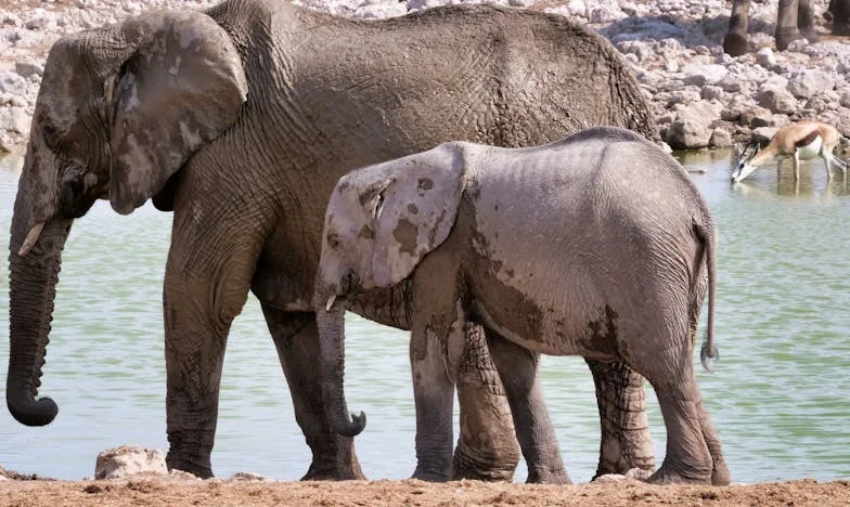 Quand la famille se fissure : Mon fils, sa femme, et le poids du silence