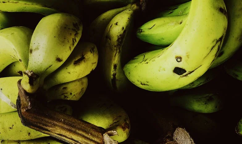 Quand ma belle-mère m’a mise à la porte – Histoire de confiance, de famille et de perte