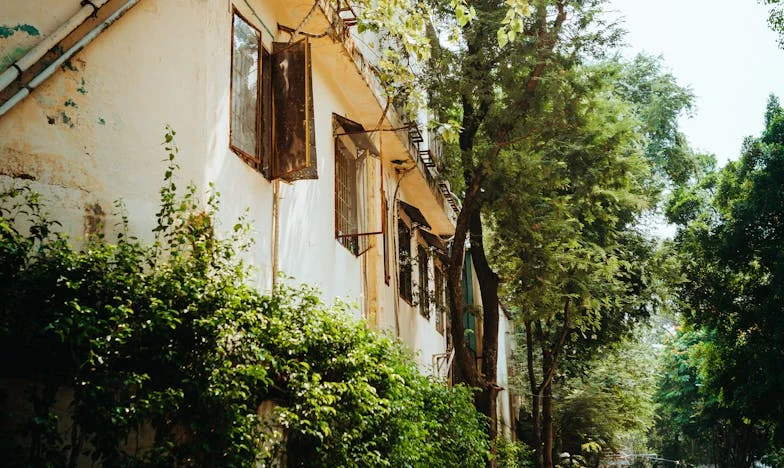 Sans Voiture, Mais Pas Sans Vie : Le Pari d'une Famille Française
