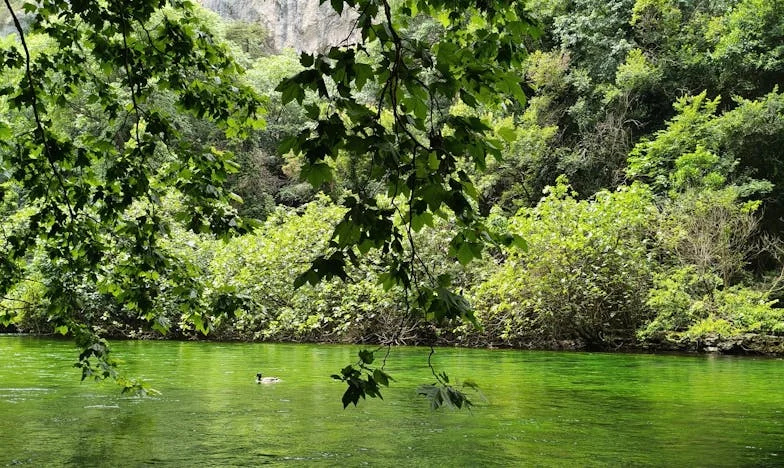 Sous le regard des autres : Mon mariage avec un homme bien plus âgé