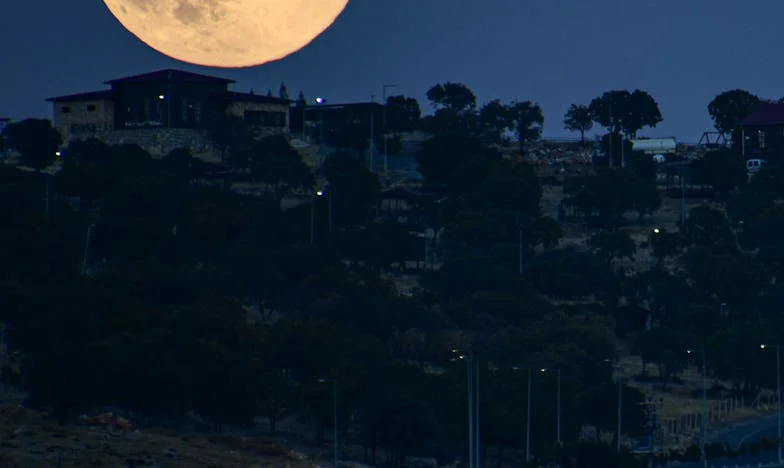 Tensions invisibles : Quand les visites familiales deviennent un champ de bataille – Mon combat pour la paix et la compréhension