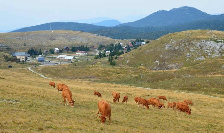 Trente ans envolés : Quand la famille se brise