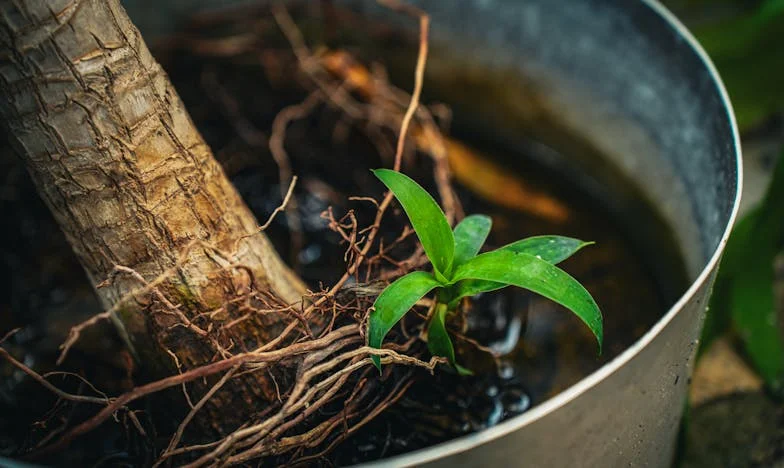 Trois mois de silence : Comment j'ai appris à pardonner l'infidélité de mon mari et à reconstruire ma famille