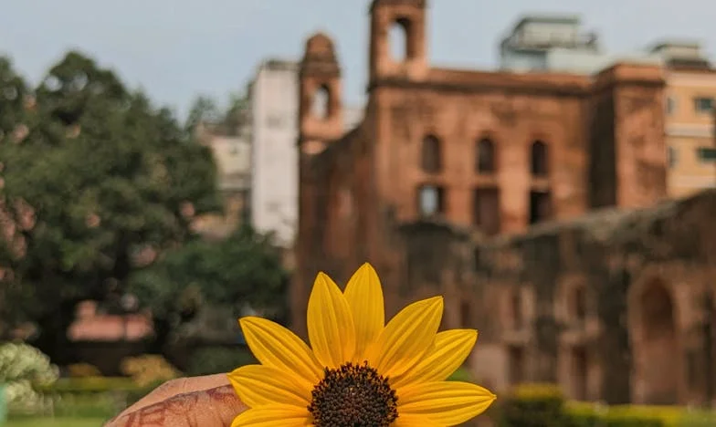 Un clic, une photo, et tout a basculé : le retour de Vincent