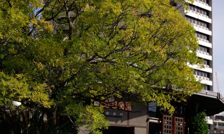 Cadeaux empoisonnés : la veille de mon mariage a tout bouleversé