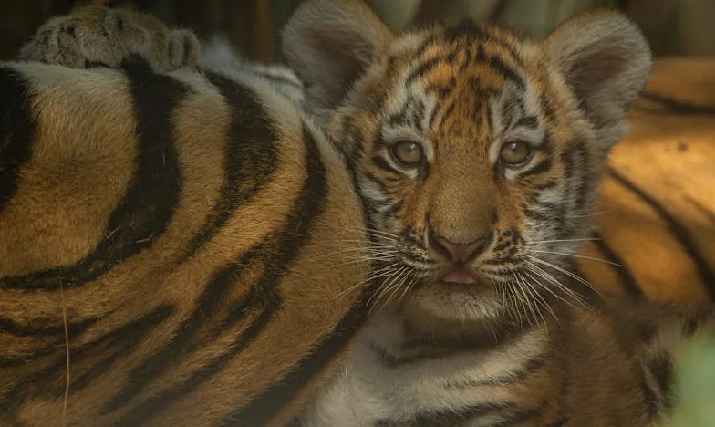 Ce dimanche où tout a basculé : l'appel qui a brisé ma famille